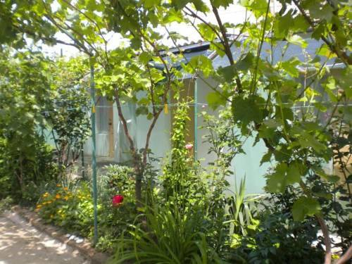 Гостиница Elvira Guest House Саки-15