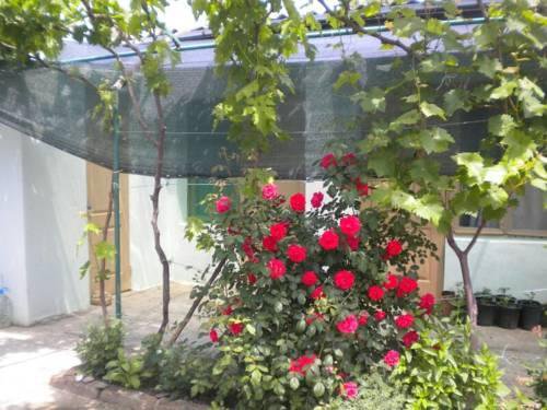 Гостиница Elvira Guest House Саки-14